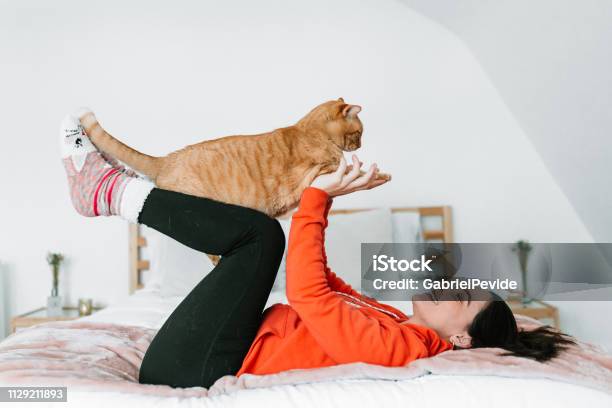 Junge Frau Mit Ihrer Katze Im Bett Stockfoto und mehr Bilder von Hauskatze - Hauskatze, Menschen, Eine Person