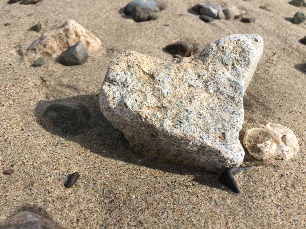 istock Heart rock and shadow on the brown sand 1129215274