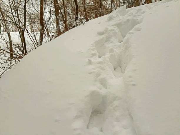 tiefe menschliche fußspuren im schnee, winter - snow track human foot steps stock-fotos und bilder