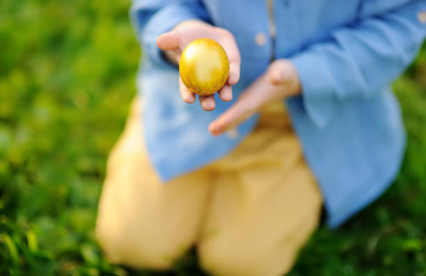 Close-up photo of little boy hunting for easter egg in spring park on Easter day Close-up photo of little boy hunting for easter egg in spring park on Easter day. Cute little child celebrating feast outdoors easter egg photos stock pictures, royalty-free photos & images
