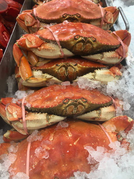 istock Crab for sale in fresh market 1129223110