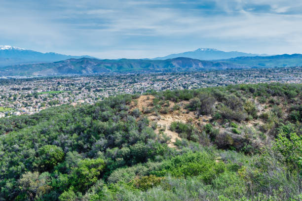 istock Early morning in the forest above city 1129225325