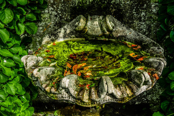 Medieval sink in the old garden of Ireland