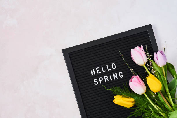 istock Spring concept. Pink and yellow tulips and letterboard with quote Hello Spring 1129231016