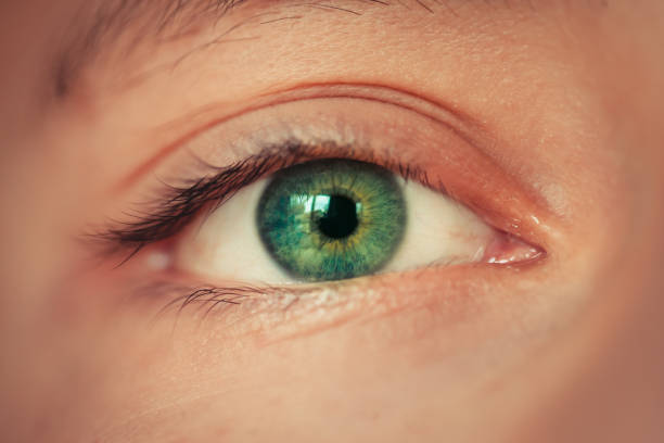 4. Canalitzacions escrites. 30/03/2025 12 ojo - cuerpo humano - mirada profunda ojo verde fotografías e imágenes de stock