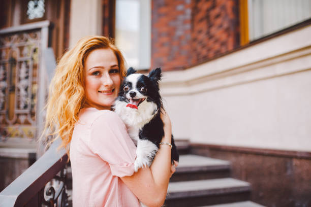 a beautiful young woman with red long hair is holding a small, cute funny big-eyed dog of two flowers, a black-and-white pet of the breed of hichuahua against a house of red brick in summer - long hair red hair women men imagens e fotografias de stock