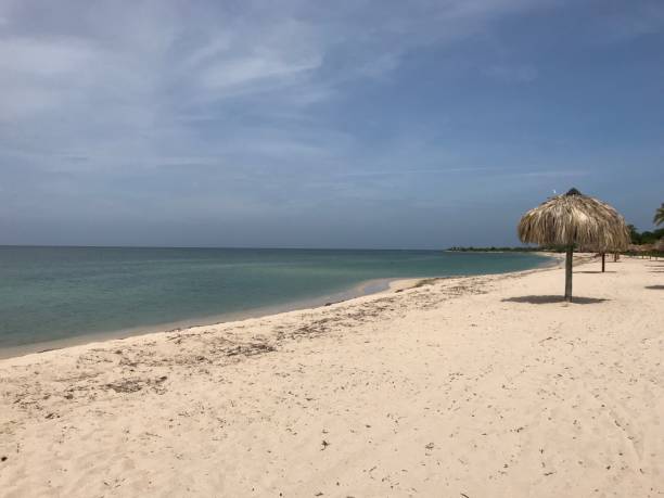 istock Paradise in Trinidad 1129233972