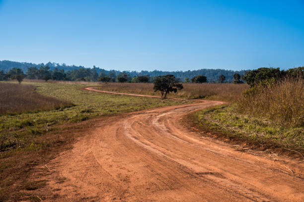 грязная сельская дорога с грязью в сельской местности таиланда - mud dirt road road dirt стоковые фото и изображения