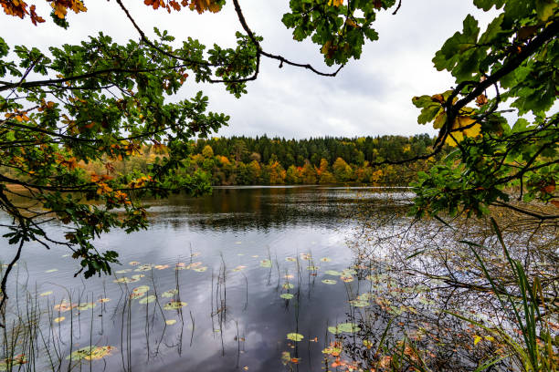 istock Scenery of Irish landscape in autumn 1129242421