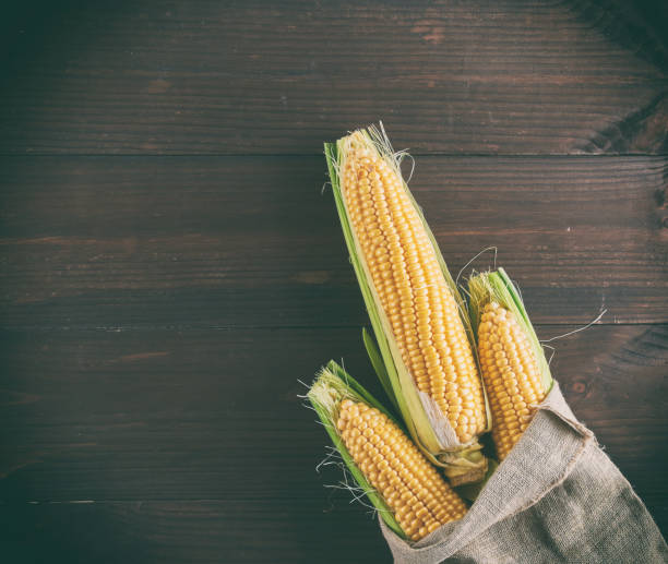 istock ripe yellow corn cobs in a canvas bag 1129246702