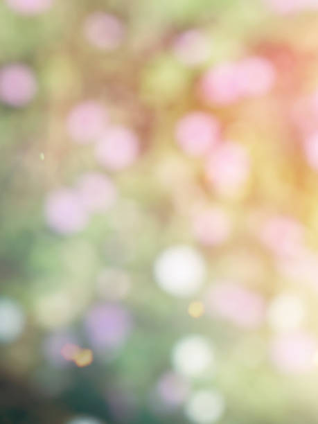 istock Leaf bokeh in the forest, missed focus 1129248229