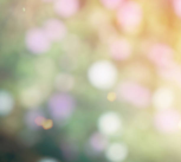 istock Leaf bokeh in the forest, missed focus 1129248235
