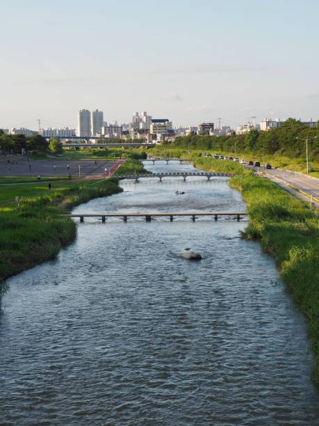 A stream in Cheongju city, Korea, stream water Shoot outdoors 깨끗한 stock pictures, royalty-free photos & images