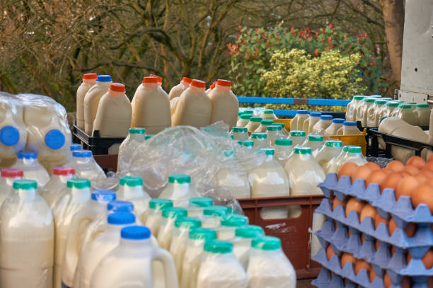 Close up of milk float cargo on morning delivery round stock photo
