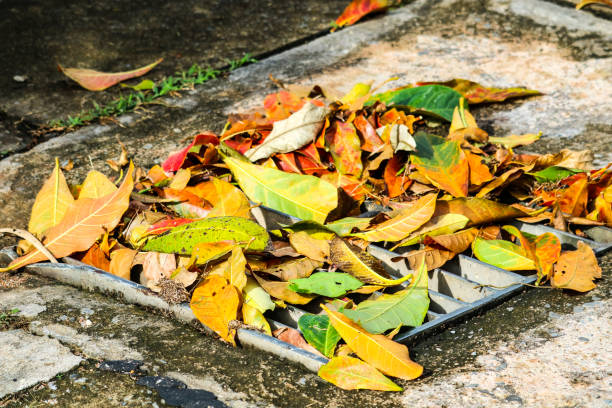 istock leaves has fall after heavy rain Drain drainage area cause flooding 1129254488