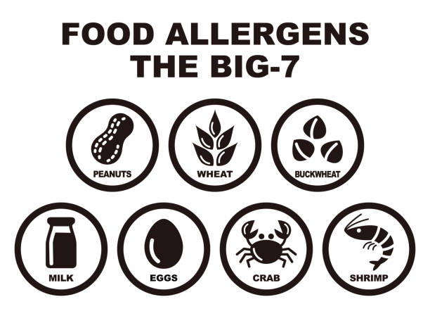 siedem głównych alergenów pokarmowych - peanut stock illustrations
