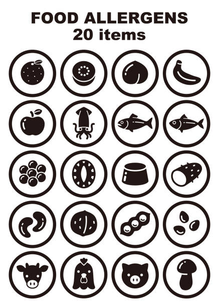 essen allergene 20 elemente-icon-set - english walnut stock-grafiken, -clipart, -cartoons und -symbole