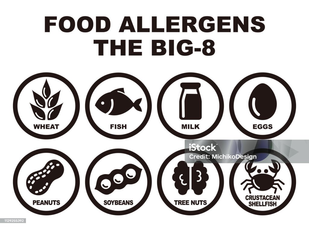 Eight major food allergens Eight major food allergens, wheat, fish, milk, eggs, peanuts, soybeans, tree nuts and crab Icon Symbol stock vector