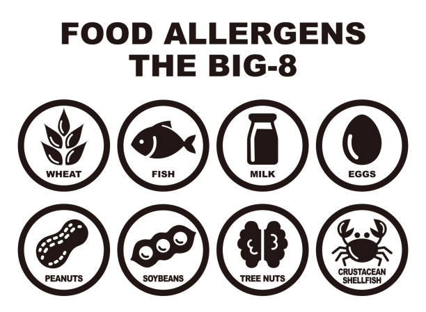Eight major food allergens Eight major food allergens, wheat, fish, milk, eggs, peanuts, soybeans, tree nuts and crab food allergies stock illustrations