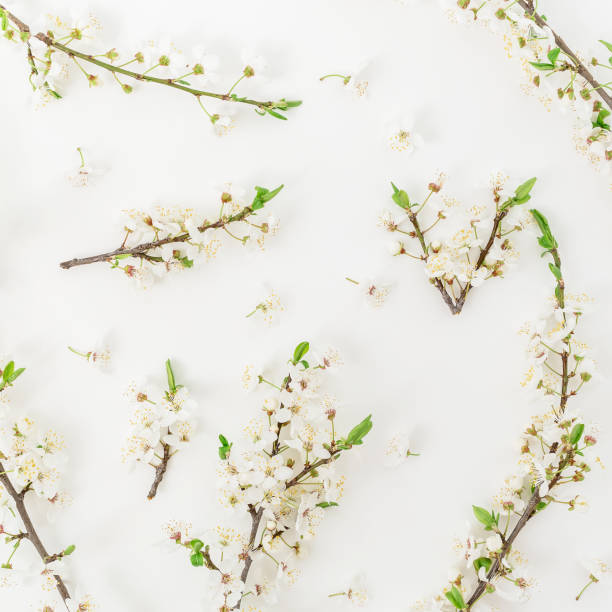 istock Floral pattern with spring flowers on white background. Flat lay, top view. Spring background. 1129257009