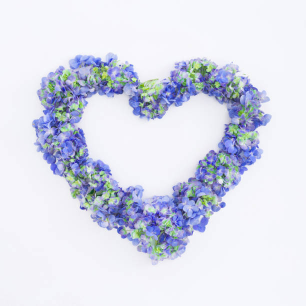 istock Heart symbol with blue hydrangea flowers on white background. Valentines day. Flat lay, top view. 1129257026