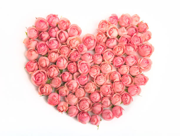 Heart-like in pink roses I convey a heart shape made of pink roses to a loved one. 기념일 stock pictures, royalty-free photos & images
