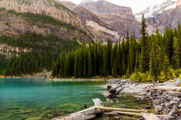 istock Moraine lake in Canada 1129260792