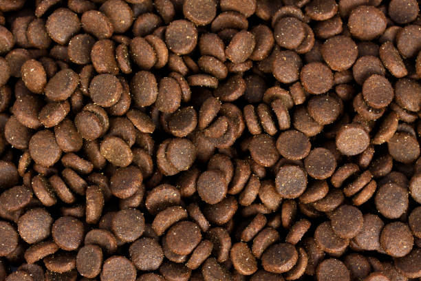 istock Dog food isolated on white background 1129261931