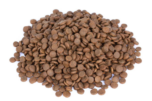 istock Dog food isolated on white background 1129262492