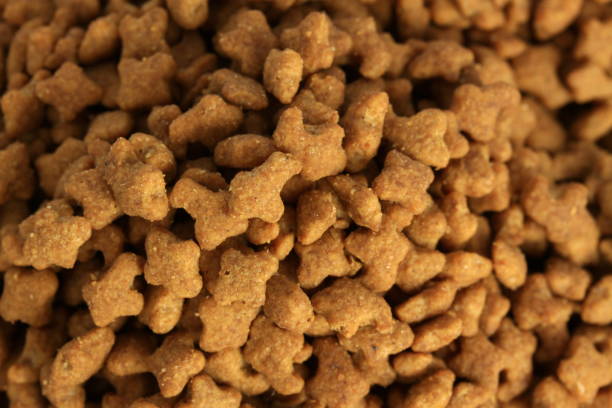 istock Dry food for pets isolated on white background 1129262530