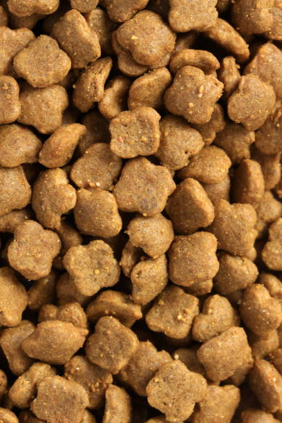 istock Dry food for pets isolated on white background 1129262623