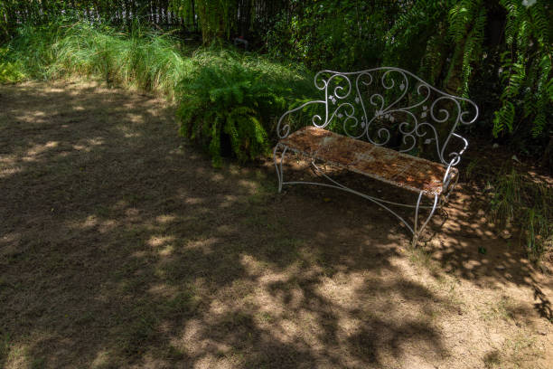 istock Natural outdoor decoration backyard garden. 1129266871