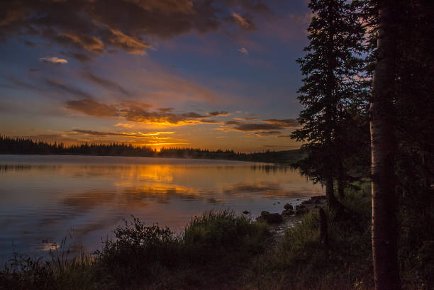 istock Sunrise in moose country 1129266897