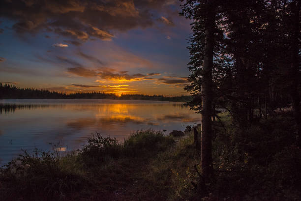 istock Sunrise in moose country 1129268520