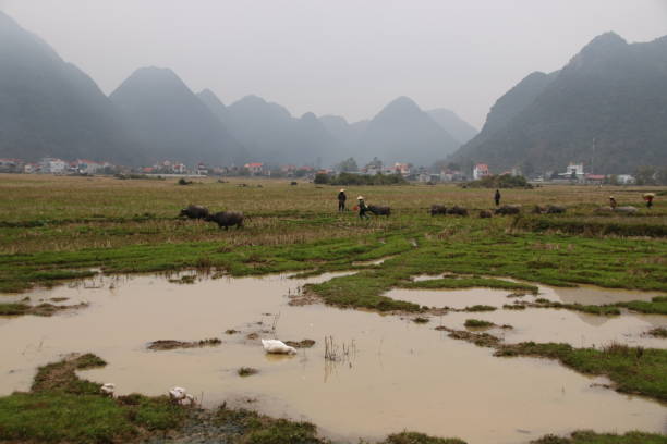 istock Bac Son, Northern Vietnam during rainy season 1129268547