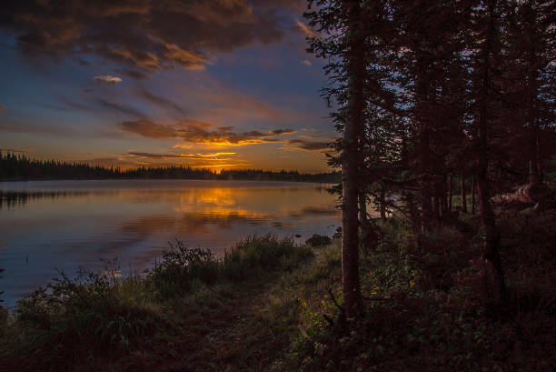 istock Sunrise in moose country 1129269341