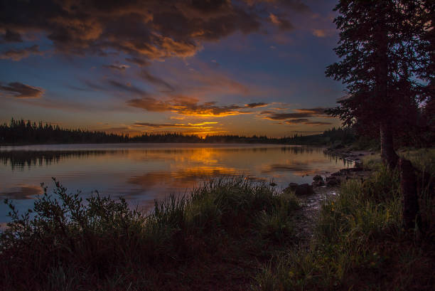 istock Sunrise in moose country 1129270252