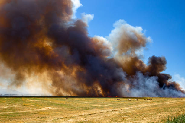 istock A stubble fire or burn-off creates a huge smoke cloud but is over in a flash on a farm in Canterbury, New Zealand 1129271885