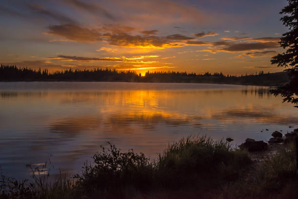 istock Sunrise in moose country 1129272280