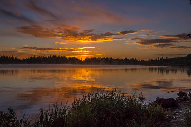 istock Sunrise in moose country 1129272318