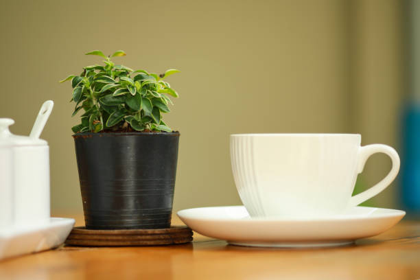 istock Cup of coffee on the wooden table. 1129277804