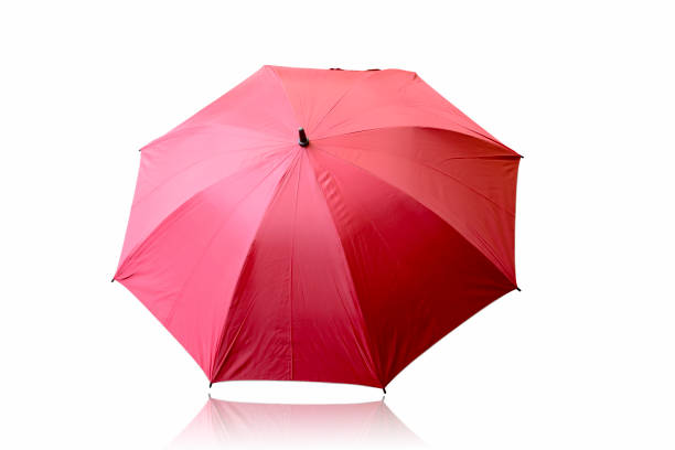 Umbrella isolated on white background.This has clipping path