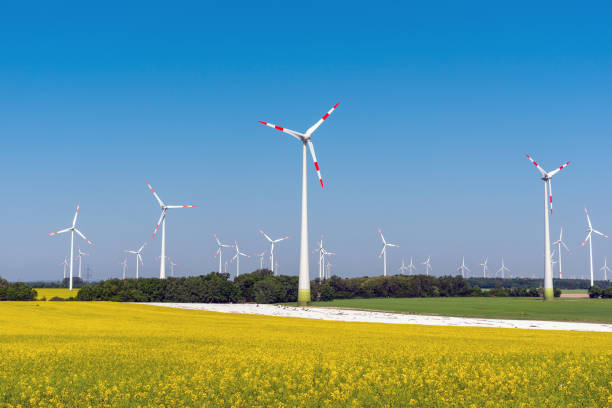 風力タービンと繁栄の菜種フィールド - climate wind engine wind turbine ストックフォトと画像