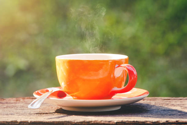 istock hot coffee cup refresh morning time on natural green background 1129279027