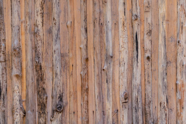 istock Old wooden wall from tree bark nature design concept ,Wood texture background for the design backdrop in concept decorative objects. 1129279875