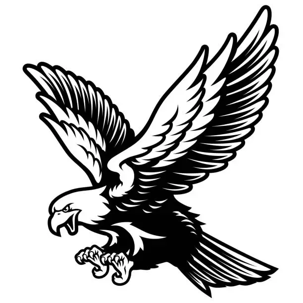 Vector illustration of American Bald Eagle with Open Wings and Claws in Black and White