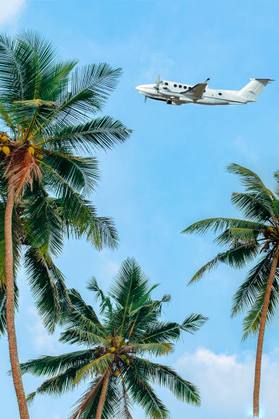 istock Plane flying over palm trees. Summer air travel. 1129286939