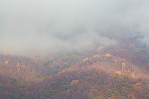 Mountain scenery in the Transylvanian Alps in autumn, with mist clouds and fog in the morning