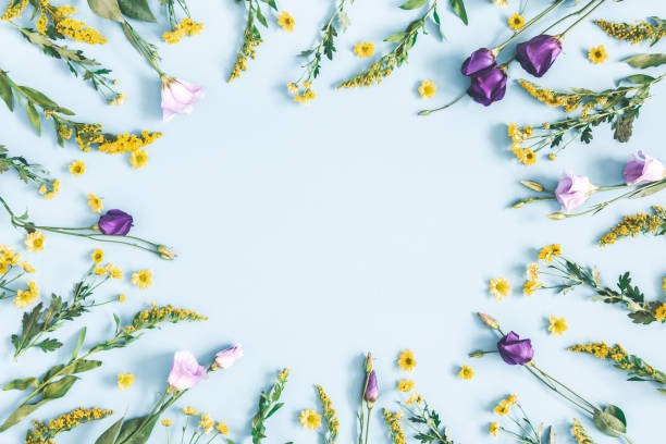 istock Flowers composition. Yellow and purple flowers on pastel blue background. Spring, easter concept. Flat lay, top view, copy space 1129299366