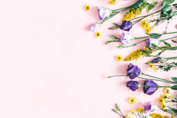 istock Flowers composition. Yellow and purple flowers on pastel pink background. Spring, easter concept. Flat lay, top view, copy space 1129299490